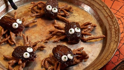 medjool date spider treats