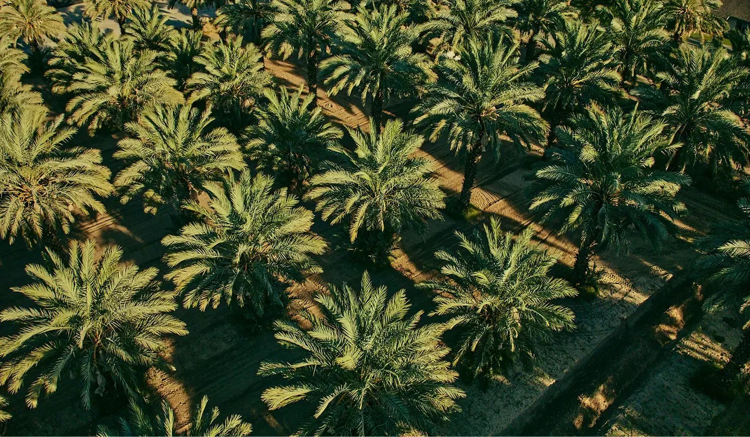 DJI_20240911183037_0079_D 1