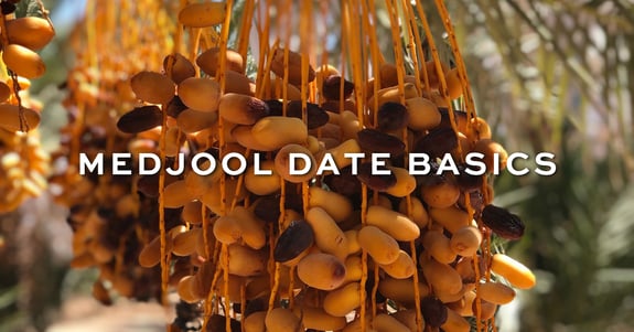 date basics