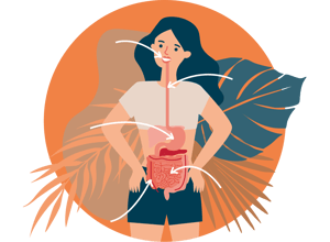 bg-infographic-dates-and-gut-health-1