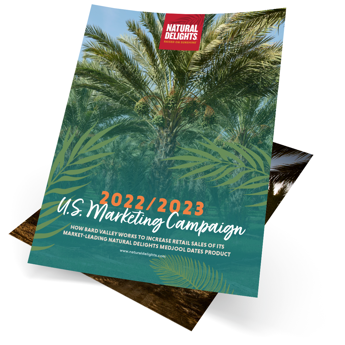 ND_Marketing-Book-2022