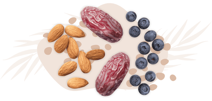 workdayenergy-dates-almonds-blueberries-snack