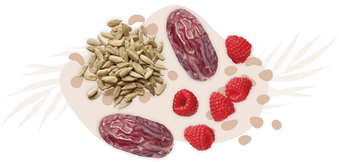 workdayenergy-dates-seeds-raspberries-snack