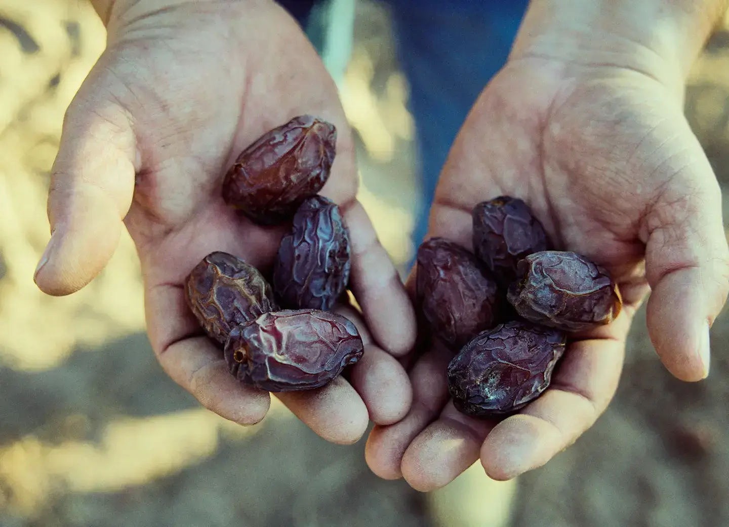 date-fact__image