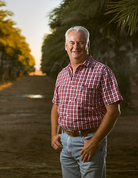 Dave Mansheim in a date tree grove