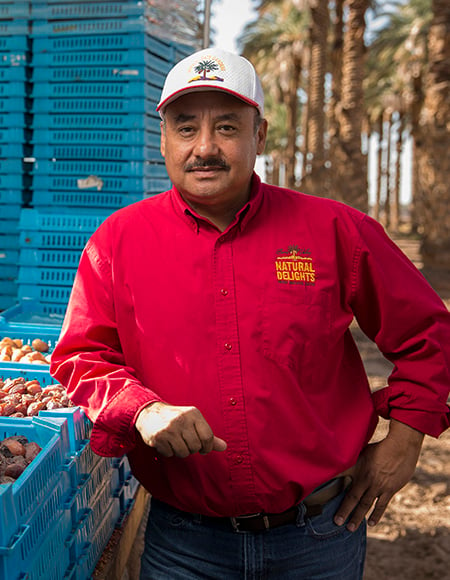 Gus Nunez working at a date farm