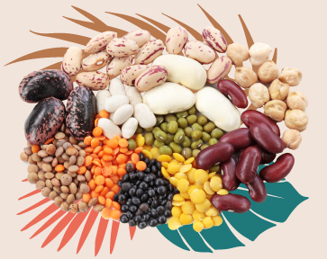 dried beans and legumes