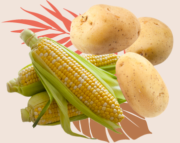 corn and potatoes